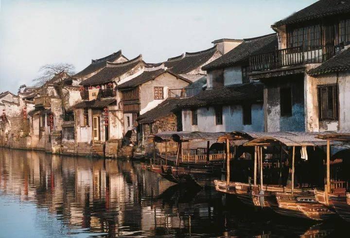 动物帮帮忙保卫家园